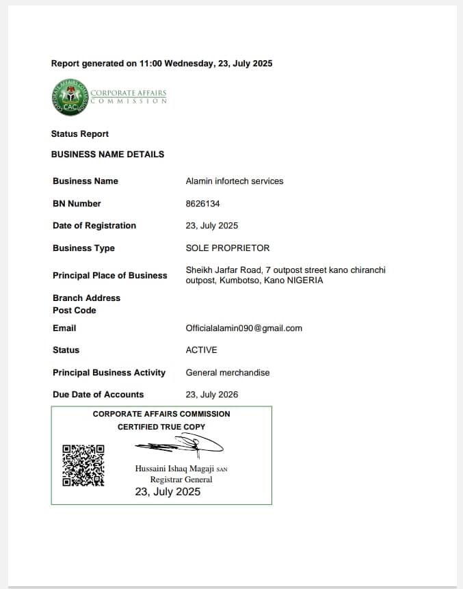 Business Status Report for Al-Amin Infotech Services